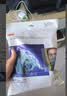 3M7502硅胶防毒面具主体中号 尘毒两用 防尘甲醛农药喷漆 不含滤毒盒 消防面具 实拍图