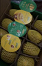 佳沛（zespri）新西兰 阳光金奇异果12粒特大果单果124-146g 猕猴桃水果礼盒 实拍图