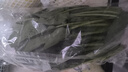 大菠菜300g 实拍图
