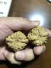 月印百川 七夕情人节礼物文玩核桃南疆石手把件礼物约40-41mm+盘玩礼包 实拍图