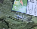 七鲜24小时富硒大叶茼蒿 200g 实拍图
