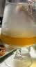 拜杰玻璃杯鸡尾酒杯威士忌酒杯洋酒杯果汁杯奶茶饮料杯果茶水杯子 实拍图