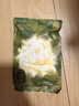 babycare【安全灭菌】山茶花一次性内裤女士孕产妇免洗内裤L码1条 实拍图