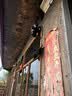 镭威视4g太阳能摄像头终身免流量AI室外免插电无电无网手机远程户外监控器家用360度无死角高清全景夜视 实拍图