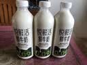 悦鲜活鲜牛奶 定期购 950ml家庭装牛奶原生高钙低温鲜奶  实拍图