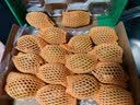 佳沛（zespri）新西兰阳光金奇异果16粒礼盒经典果单果 88-103g  猕猴桃水果礼盒 实拍图