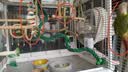 宠易生墨鱼骨鹦鹉啃咬串鸟类用品鸟零食鹦鹉磨牙解闷玩具8粒 实拍图