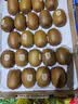 佳沛（zespri）金奇异果25-27粒原箱特大果124-146g猕猴桃中秋节礼品送水果礼盒 实拍图