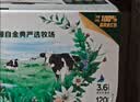 伊利金典3.6g乳蛋白鲜活牛奶（苗条砖）250ml*10 90天短保礼盒装 7月 实拍图