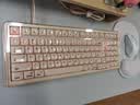 前行者（EWEADN）Muse M98粉底液机械键盘女生高颜值静音无线蓝牙三模gasket客制化98键有线游戏办公电脑笔记本通用 实拍图