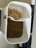小佩AI宠物智能自动双子星喂食器可视版  实时视频监控(支持鸿蒙智联) 实拍图