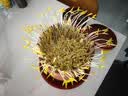 田园梦生豆芽机家用全自动紫砂豆芽罐豆芽发芽神器食品级发花生芽胖豆芽 大号紫砂豆芽罐（每年送麦饭石） 实拍图
