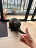 【深度保洁】全屋 精细深度保洁 全屋打扫上门清洁服务擦玻璃 日常保洁清理 家政保洁服务同城服务保洁 3 小时深度保洁+擦窗 (全屋大扫除，擦内外玻璃) 实拍图