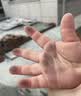 蔬果园茶香泡沫洗手液儿童宝宝家用泡泡丰富滋润易冲洗护手保湿500ml 实拍图