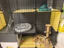 蔻丝猫笼子大号猫窝别墅带厕所一体隔离适合幼猫大猫柜家用宠物猫笼 【3层1卫3室】攀爬多层空间 升级款【基础款+猫窝+猫吊床】 实拍图