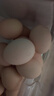 京鲜生 无抗保洁鲜鸡蛋30枚/盒 健康轻食 礼盒送礼 1.5kg/盒 源头直发 实拍图