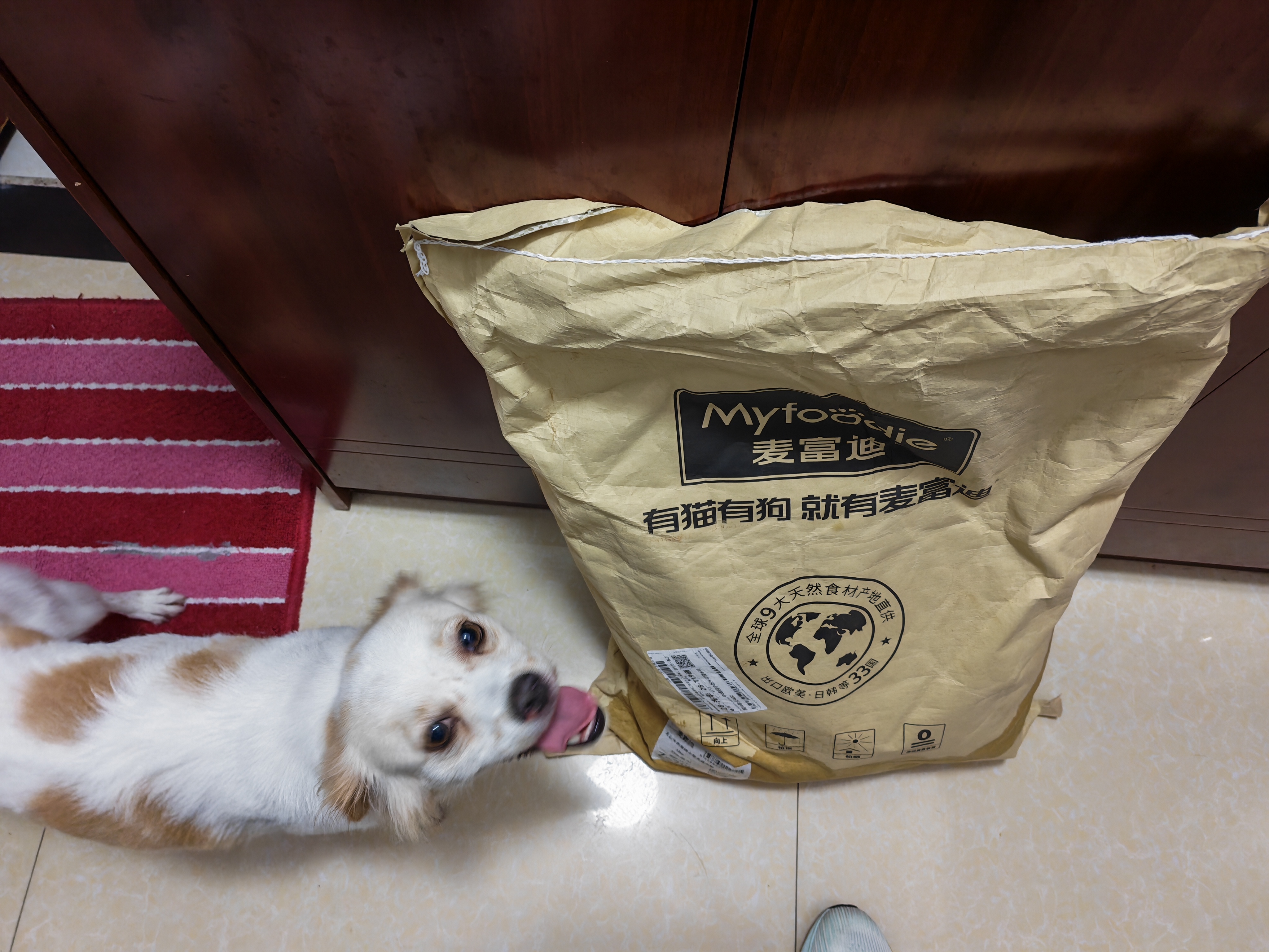 麦富迪狗粮 无谷牛肉双拼狗粮成犬小型犬比熊贵宾缓解泪痕 10kg/20斤 实拍图