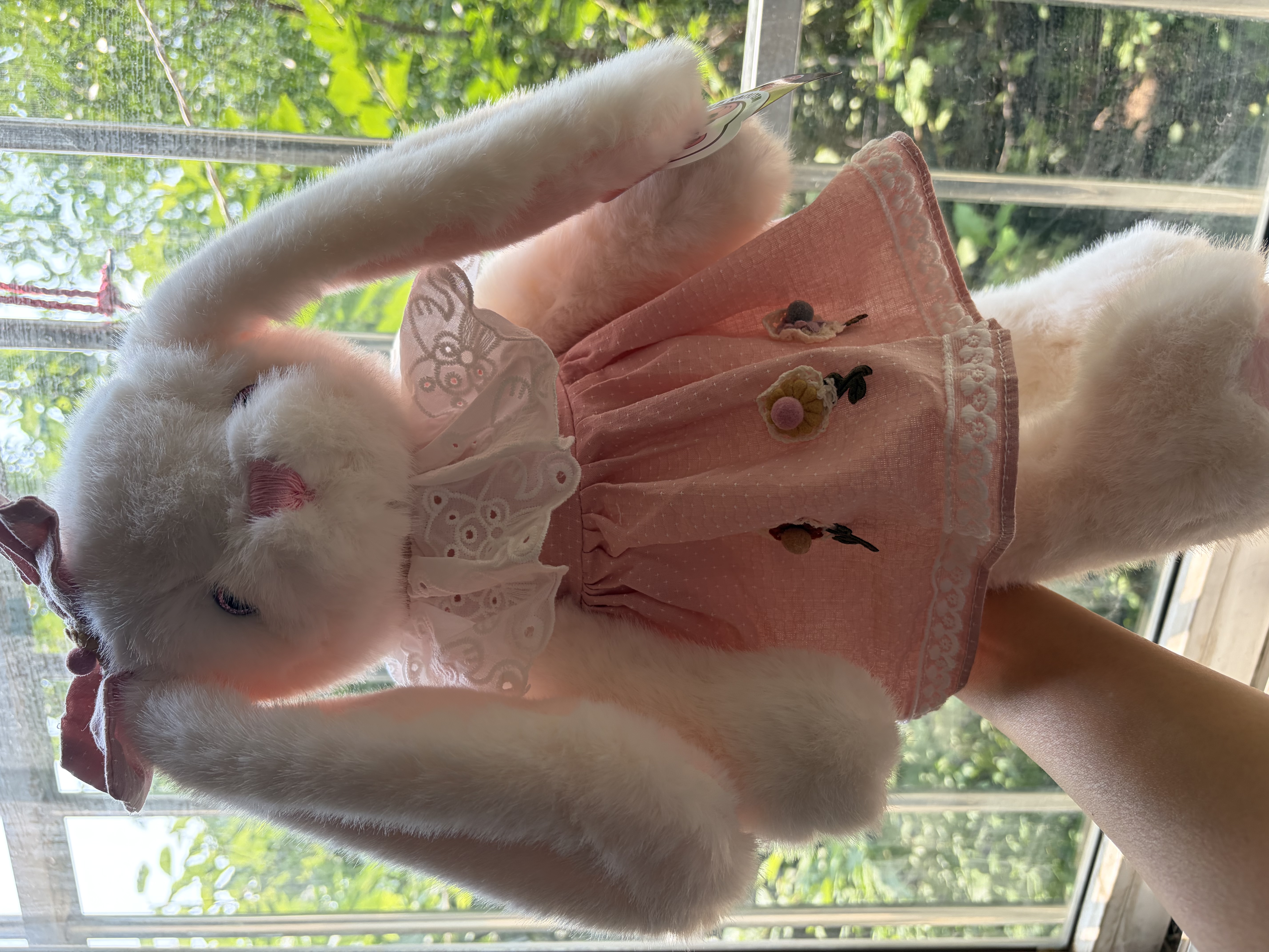 威尔通（WELTSTON）毛绒玩具娃娃抱枕玩偶摆件送女朋友生日礼物抱睡小兔子公仔+礼袋 实拍图