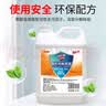 净佰俐草酸清洁剂2.6L瓷砖地面地板砖清洗剂除水泥厕所马桶除污垢洁厕液 实拍图