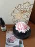 Para Ella永生花陶瓷花牡丹香薰生日礼物女友妈妈教师节老师退休七夕情人节 实拍图