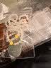 四万公里防氧化首饰盒耳环耳钉项链收纳盒饰品首饰耳饰收纳透明首饰袋子 实拍图
