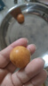 京鲜生 新疆吊干杏 净重3斤 单果12g+ 新鲜应季水果 8分甜2分酸 实拍图