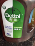滴露（Dettol）香氛自然衣物消毒液48H留香洗衣除臭儿童可用消毒水杀菌除螨1L*2 实拍图