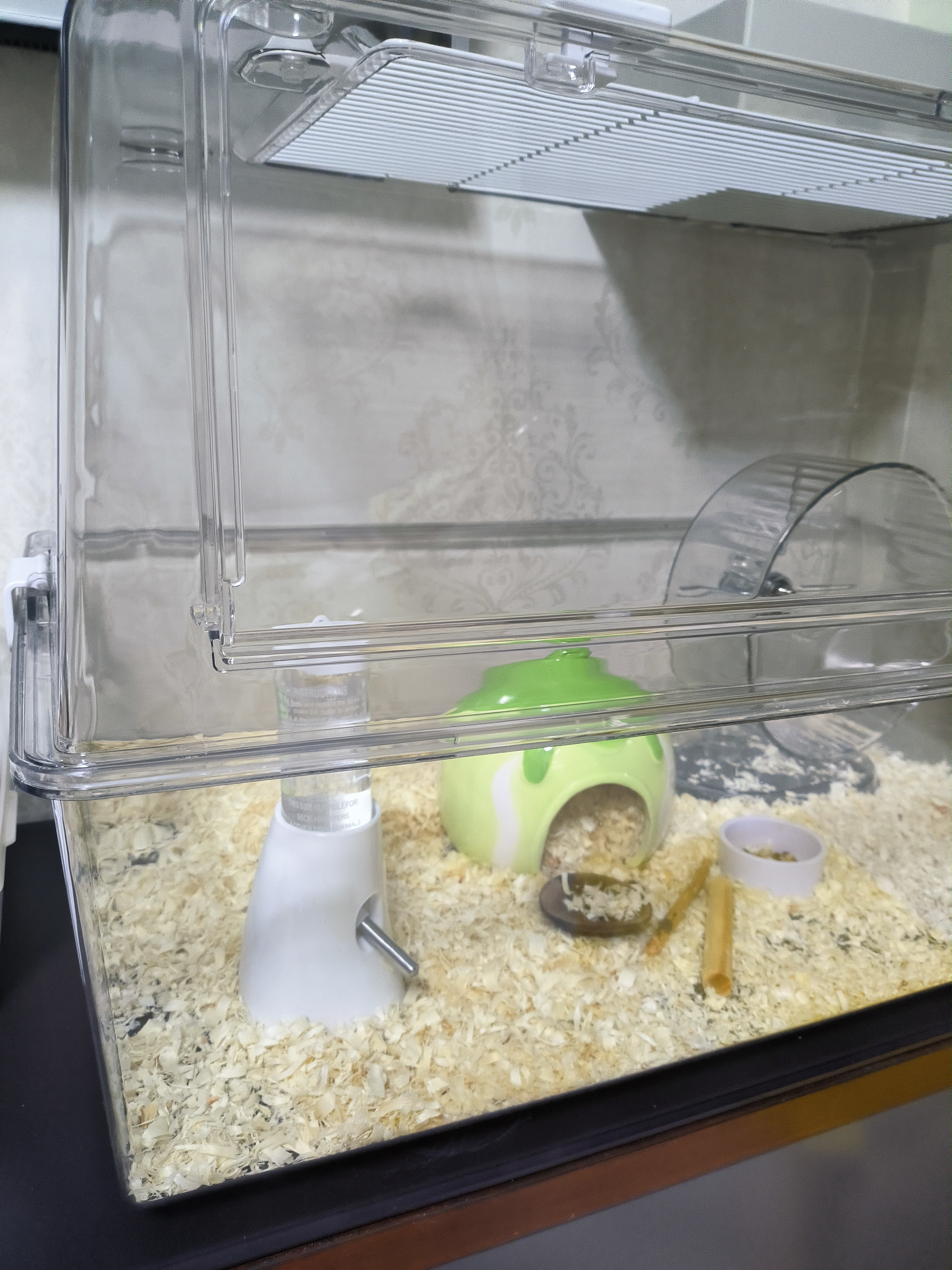 比克熊 仓鼠跑轮+支架安静无噪音双轴承运动玩具用品透明色21cm 实拍图