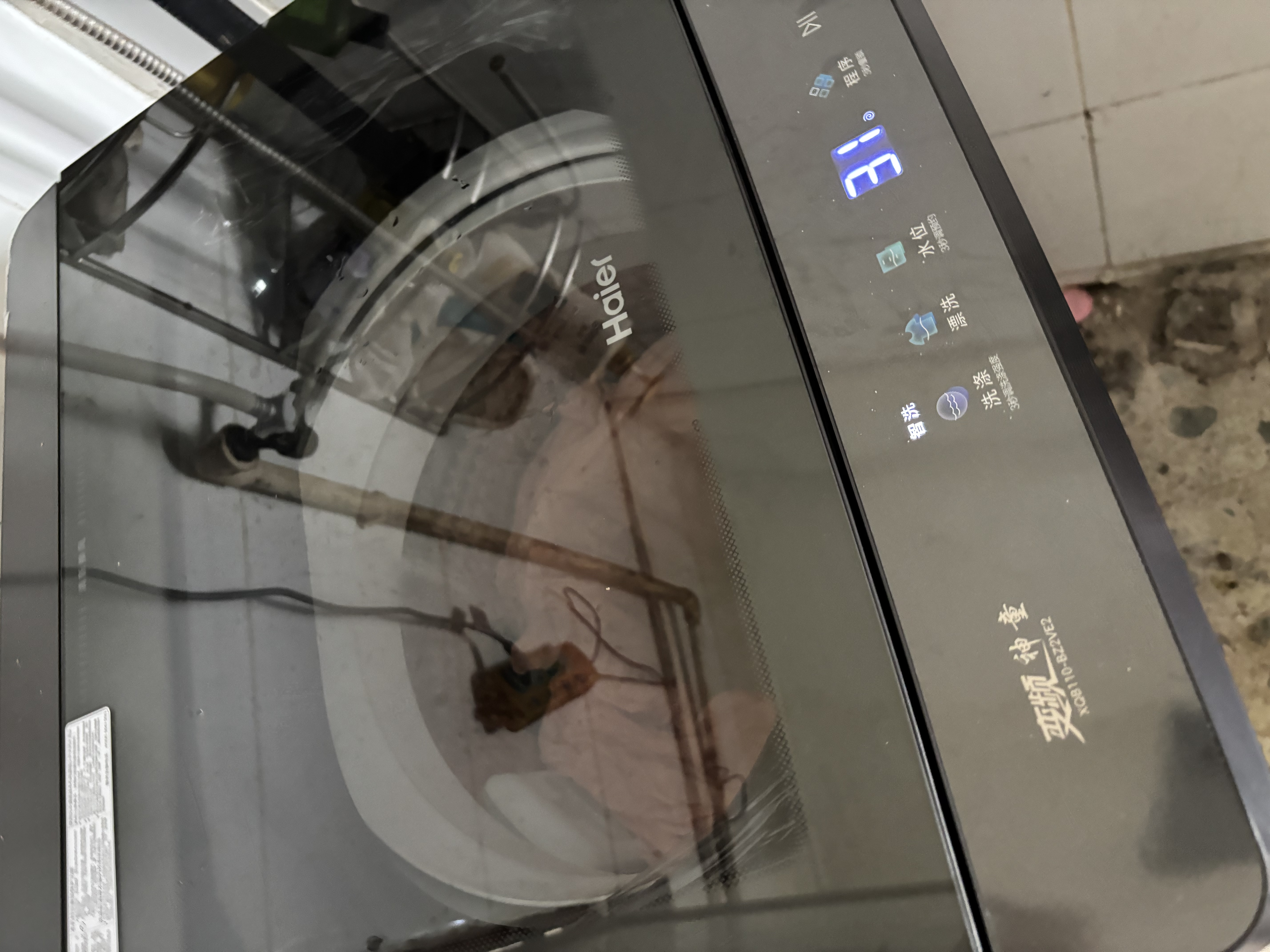 海尔（Haier）洗衣机波轮10公斤/12公斤全自动洗衣机直驱变频家用洗衣机大容量一级能效补贴15%以旧换新除螨洗 【新品】11KG 波轮 +超净洗+纳米微泡净+十维减震 免费上门安装/全国联保/整机 实拍图