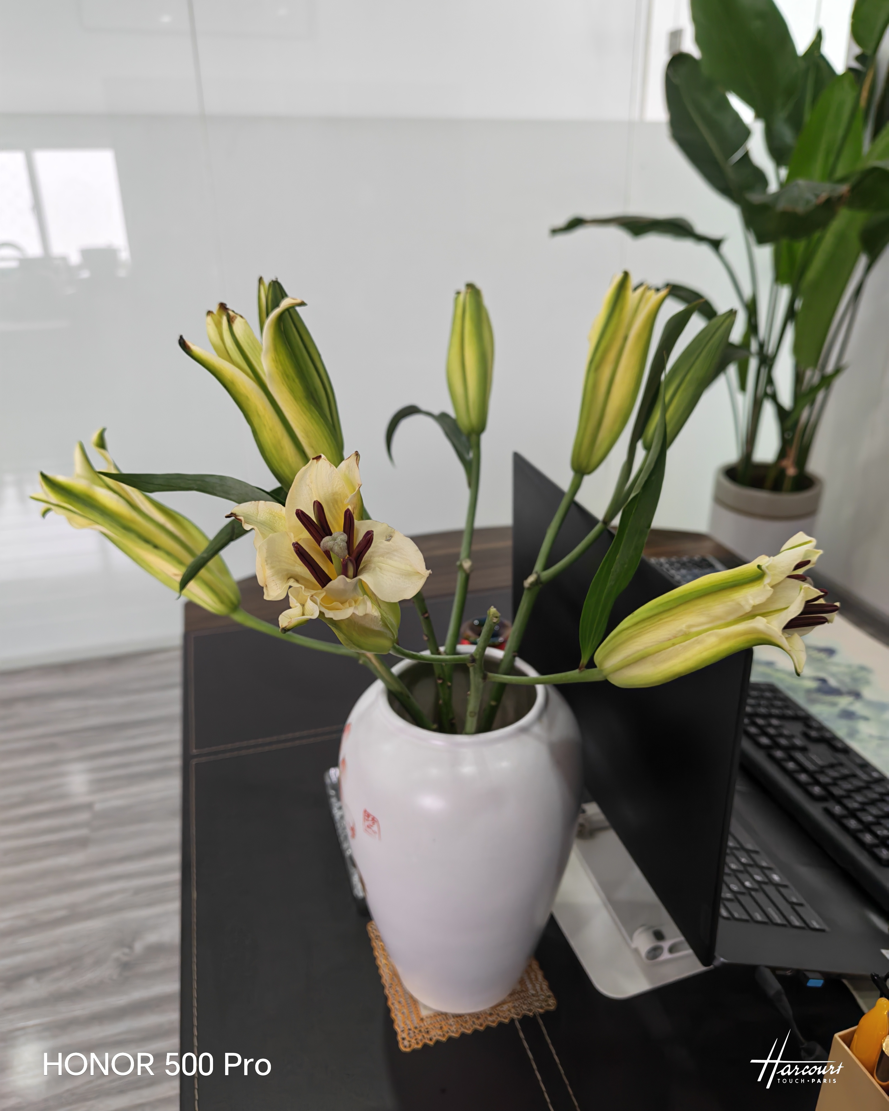 A级百合鲜花云南昆明基地直发混搭七夕节礼物家居摆件供佛 随机特价百合9朵（不指定品种颜色） 实拍图