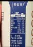 蒙牛【新鲜日期】特仑苏纯牛奶250ml*16盒 家庭早餐 送礼礼盒 实拍图