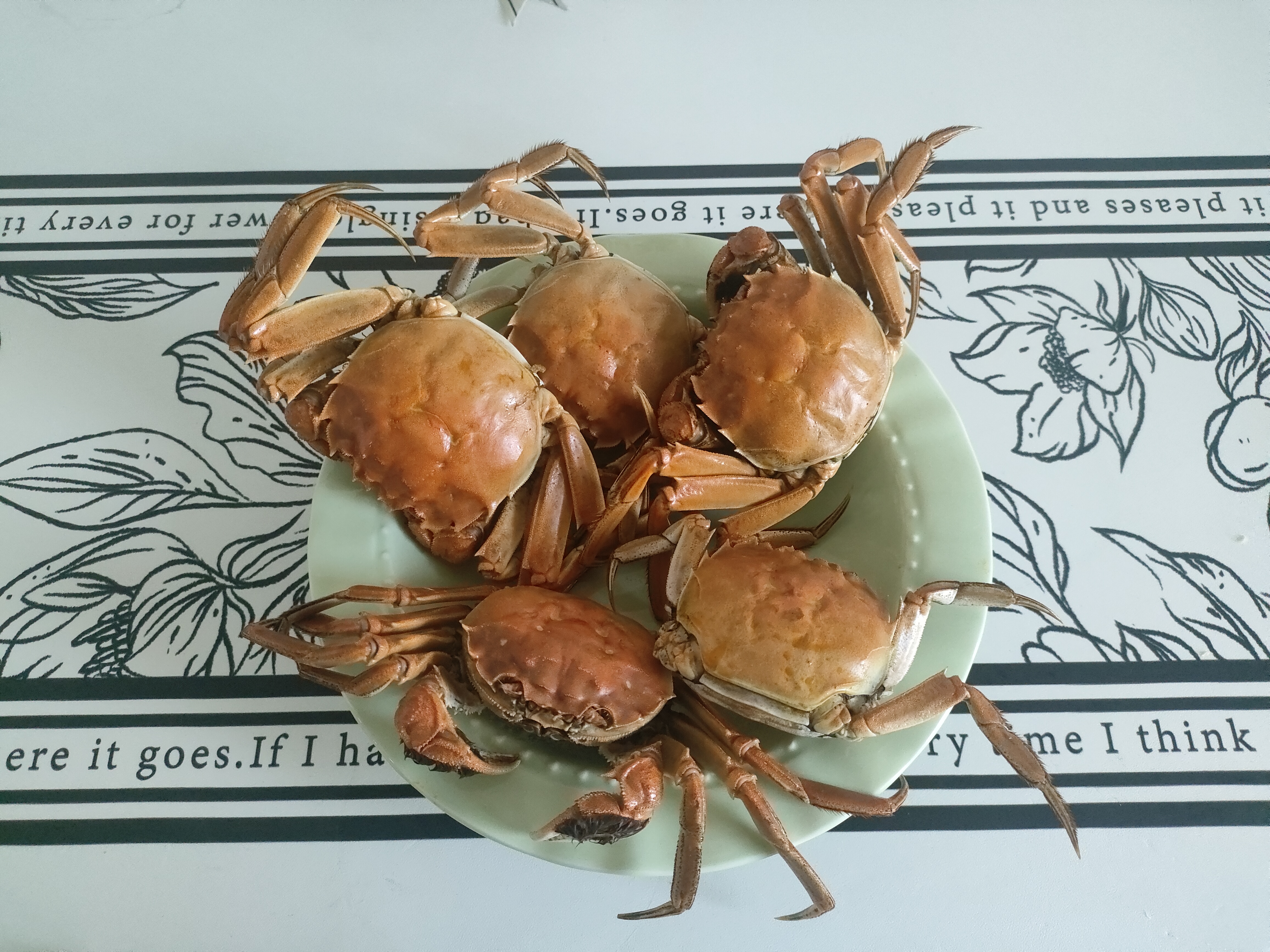 【活蟹】湖鲜阳澄 大闸蟹 去绳足重 2.2-2.5两 10只 鲜活六月黄现货超大螃蟹生鲜礼盒装 实拍图