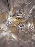 农心 上海汤面海鲜味拉面方便面辛拉面 速食零食品 5连包117.8g*5包 实拍图