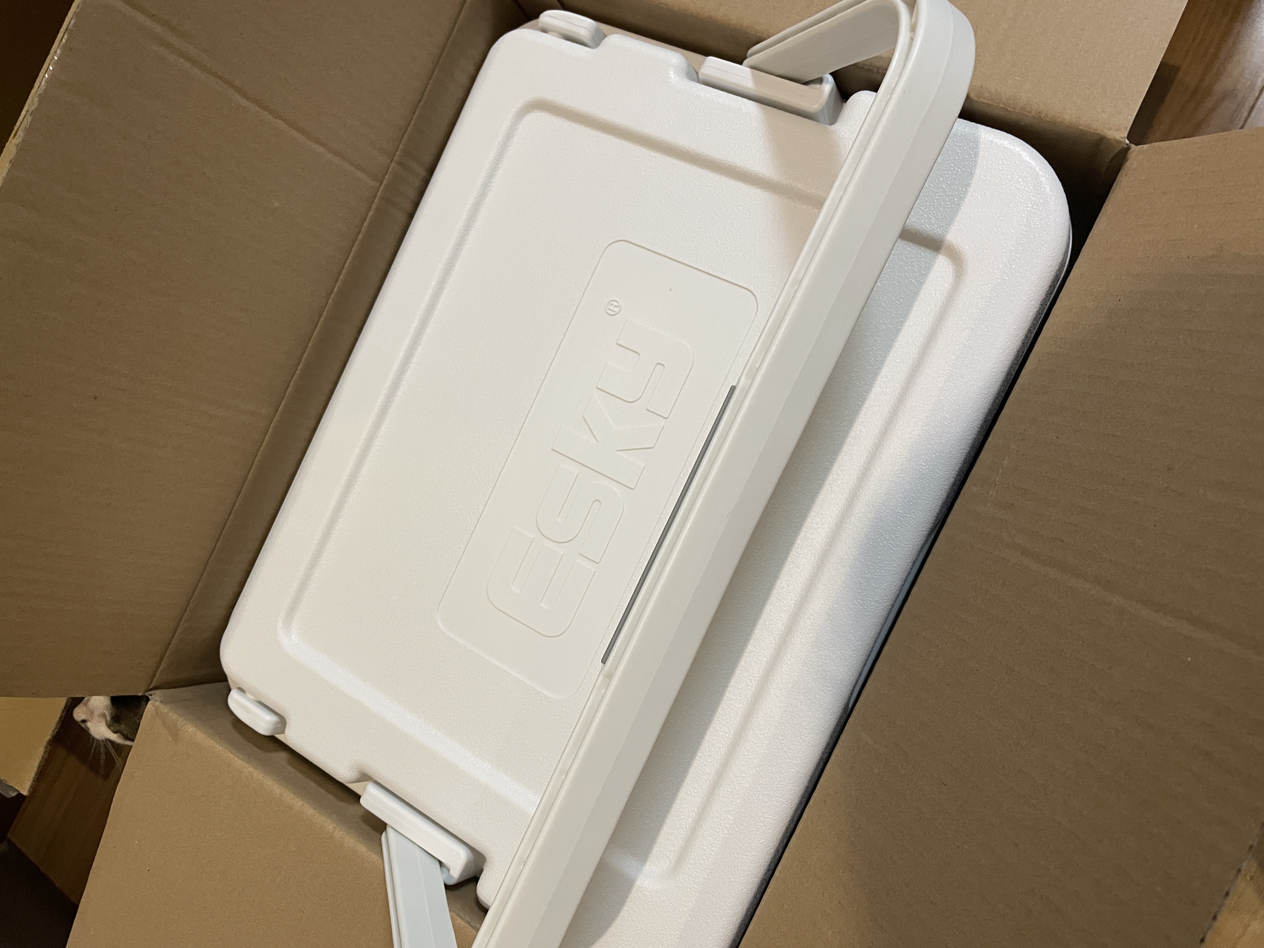 爱斯基（ESKY）车载保温箱户外冷藏箱26L 露营野餐商用便携摆摊冰块桶食品保热箱 实拍图