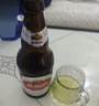 燕京啤酒 U8小度酒8°P啤酒500ml*6瓶 （礼盒装）整箱装 现货热卖 实拍图