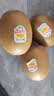 佳沛（zespri）新西兰阳光金果4粒装单果约103-114g 猕猴桃新鲜水果源头直发 实拍图