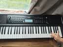 雅马哈（YAMAHA）PSR-E383 儿童成年娱乐学习专业演奏教学力度键电子琴61键 实拍图