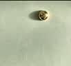 周六福七夕情人节礼物黄金999元宝金条小金豆爱心赏金玩咖投资金 计价 钱币-1g 实拍图