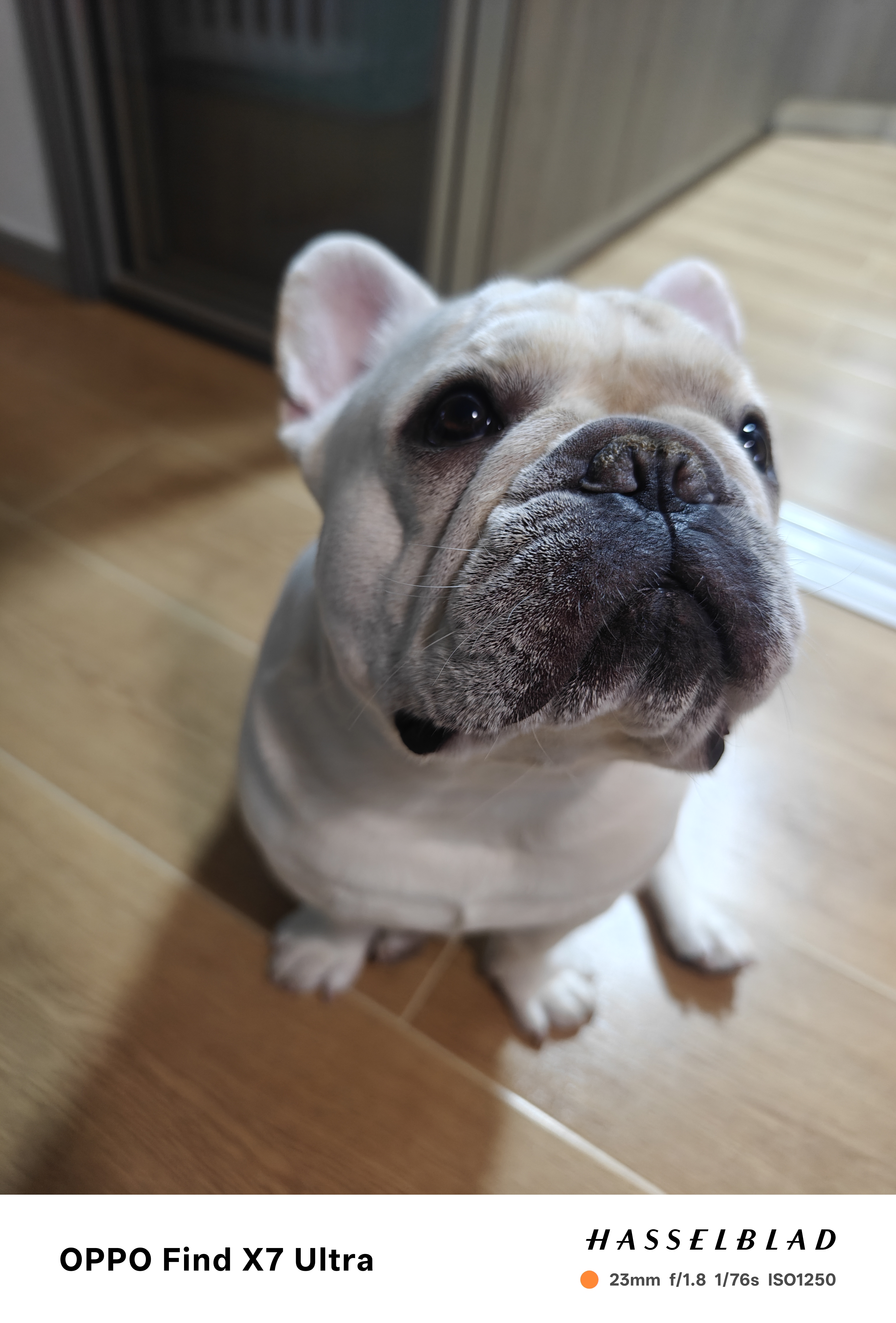 麦富迪狗粮 barf霸弗天然狗粮成犬粮冻干粮中大型犬养胃益肠鸡肉2kg*3 实拍图