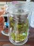 领臣（LINGCHEN）茶杯双层玻璃水杯大容量泡茶杯子带把手滤网商务办公行政领导男士 实拍图