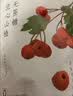 食味的初相 空心山楂球无糖精添加无核山楂干蜜饯果脯休闲零食无添加蔗糖 空心山楂220g*4【0蔗糖】 实拍图