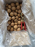 舌里原味薄皮核桃3斤装 新疆特产休闲零食坚果炒货送夹子1500g/箱 实拍图