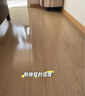 鲨客蒸汽拖把家用厨房蒸汽清洁机拖地洗地机助手 高温蒸汽除菌电动手持洗地机吸尘器伴侣 P39lite标准版 实拍图