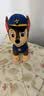 汪汪队立大功（PAW PATROL）毛绒玩具狗狗陪睡玩偶经典款阿奇站姿公仔男女孩儿童生日礼物 实拍图