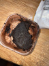 【商超同款】MCT爆浆黑巧克力泥巴派健身代餐茶点心网红零食 巧克力泥巴派【3块】140g 实拍图