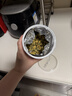 南同四海胎菊搭胎菊中药材桐乡正特品级无黄菊花茶硫火热一等品护肝熏火去 实拍图