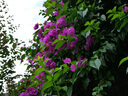 松下（Panasonic）Lumix G100D M43画幅相机 M43卡口 微单相机 无反数码相机 G100D+【12-60+25F1.7】双白盒套装 实拍图