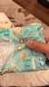 帮宝适[会员专享试用装]一级帮拉拉裤尿不湿尿片 超薄透气L+4 实拍图