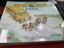 京东好书 神奇校车 图画书版3岁4岁5岁6岁 童书 儿童绘本 图画书  幼儿园 幼小衔接 小学生 科普启蒙 科学大爆炸 暑期阅读    暑假课外书 绘本过渡到文字  实拍图