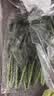 【24小时菜】菠菜苗250g(长度≤20cm) 实拍图